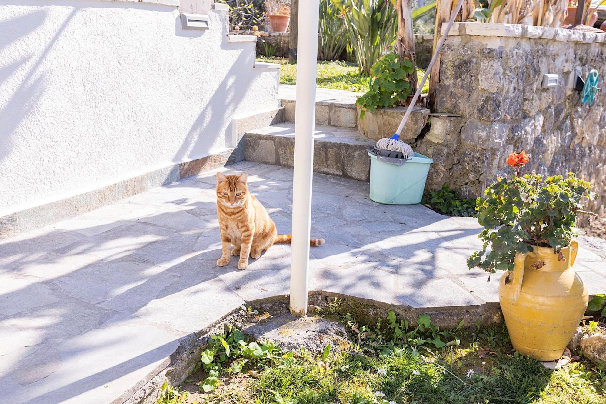 Ad Homes Agios Gordios (Corfu) Exterior foto